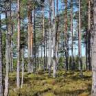 L&auml;genhet rum Klar&auml;lvsdalen Torsby kommun &Ouml;stra M&aring;n&auml;s 15A