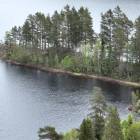 BOTTNER 1:88 | Svensk Fastighetsförmedling