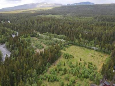 L&auml;genhet rum Ljungdalen Bergs kommun Adress saknas