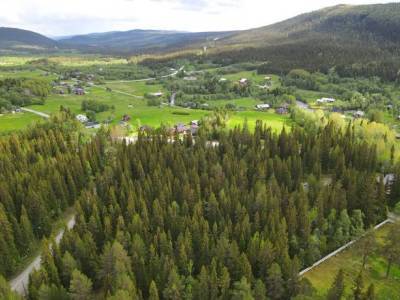 L&auml;genhet rum Ljungdalen Bergs kommun Kapellv&auml;gen