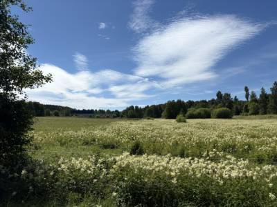 H&ouml;gsv&auml;gen, Billingsfors