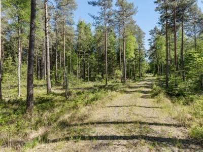 L&auml;genhet rum Lidhult Ljungby kommun Adress saknas