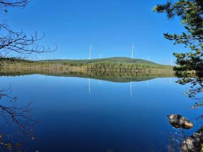 L&auml;genhet rum LJUSDAL - K&Aring;RB&Ouml;LESKOG Ljusdals kommun Skog och vindkraft